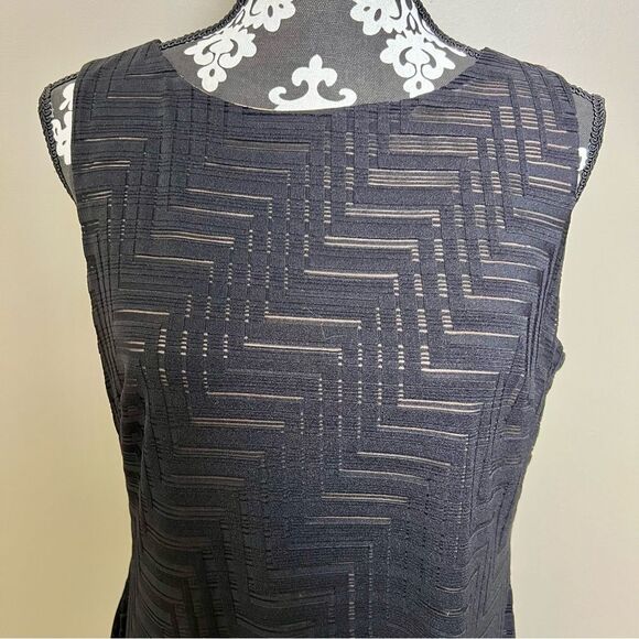 AMERICAN LIVING Sleeveless Dress with Overlay Black and Tan Size 14 - Picture 2 of 7
